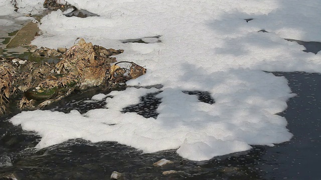 运河水污染视频素材