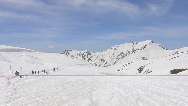 日本富山田山室道春景视频素材