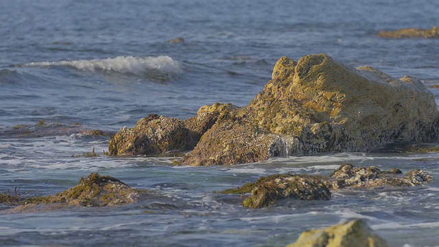 海浪和海岸，在Noto半岛，石川，日本视频素材