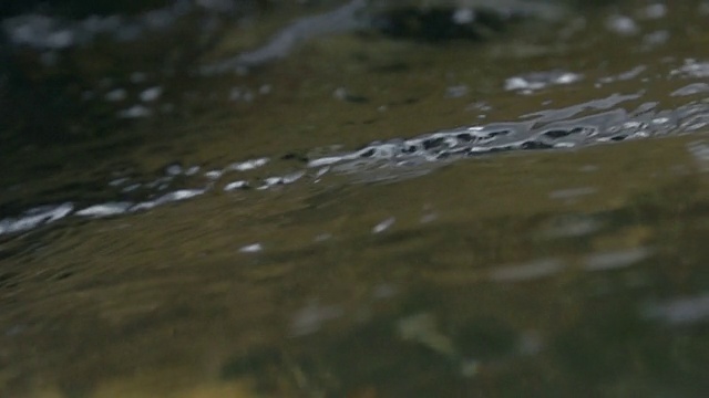 自然淡水慢动作视频素材