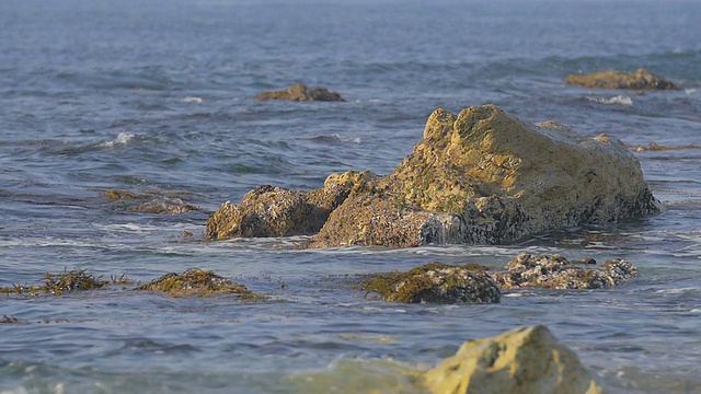 慢镜头，日本石川野户半岛海岸视频素材