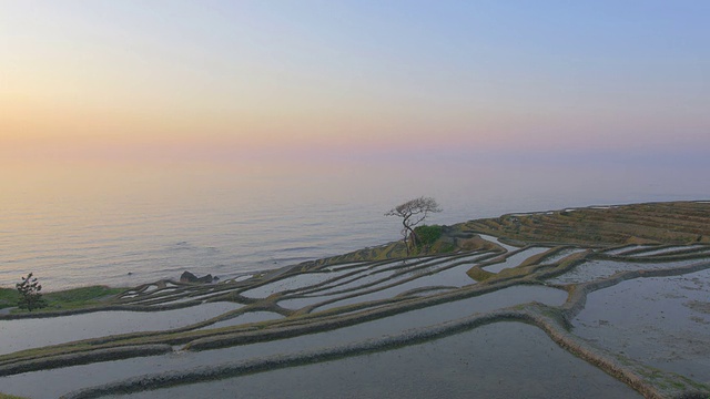 日本石川市城一市的一千个稻田视频素材