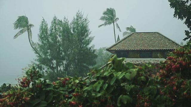 泰国季风季节的强热带降雨视频素材