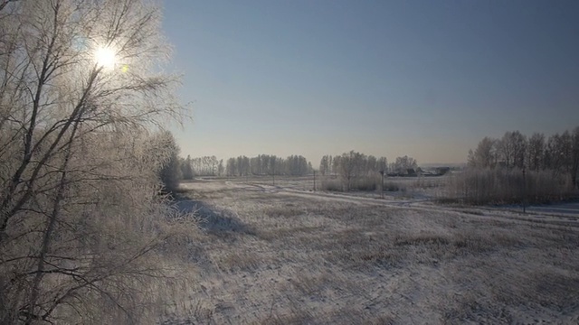 树木与雪在冬天的乡村公园视频素材