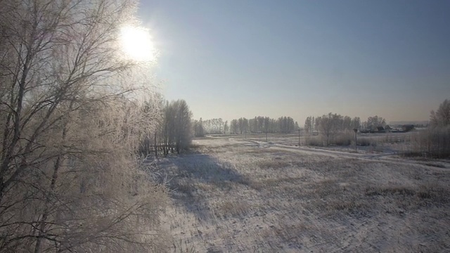 树木与雪在冬天的乡村公园视频素材