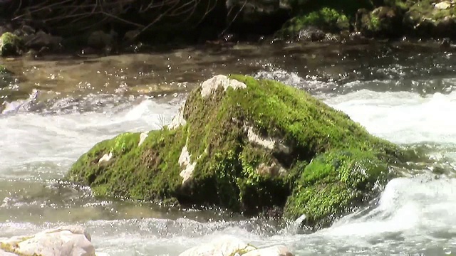 在一条湍急的水流中间的岩石上覆盖着绿色的苔藓视频素材