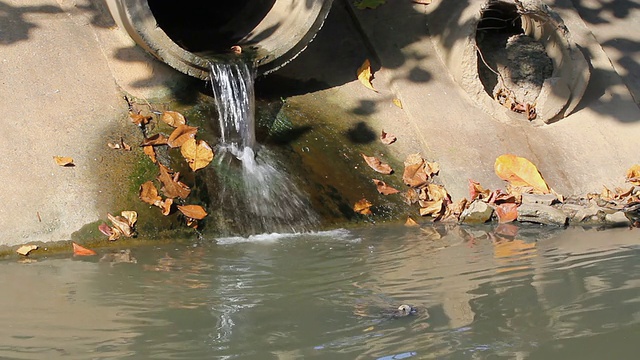 运河水污染视频素材