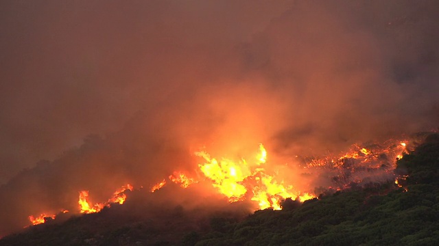 开普敦——2015年3月:南非桌山山坡上猛烈的丛林大火视频素材