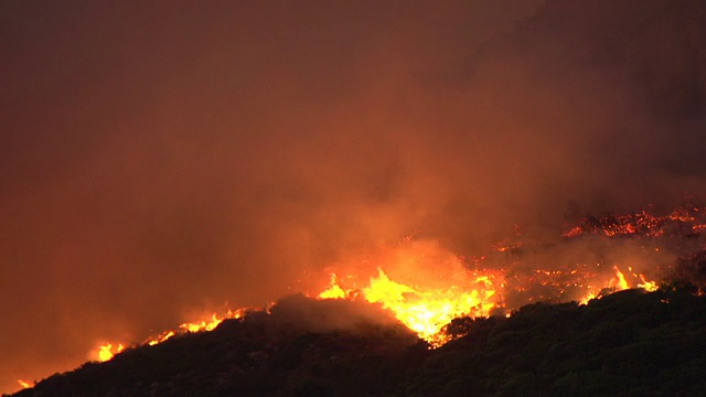 开普敦——2015年3月:南非桌山山坡上猛烈的丛林大火视频素材