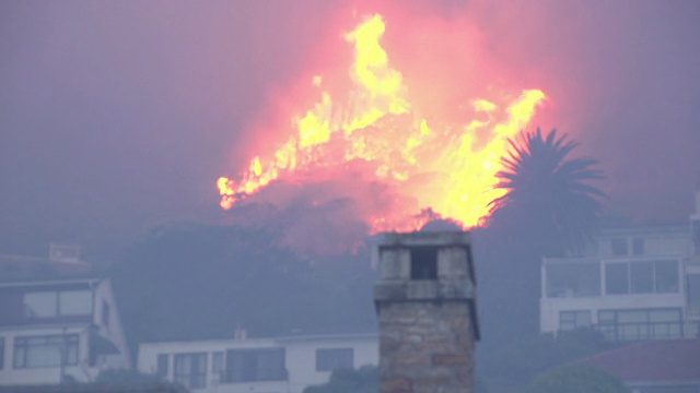 开普敦——2015年3月:南非桌山山坡上猛烈的丛林大火视频素材