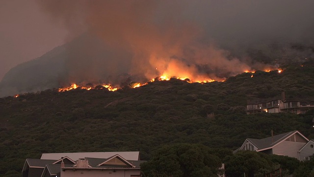 开普敦——2015年3月:南非桌山山坡上猛烈的丛林大火视频素材