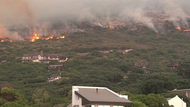 开普敦——2015年3月:南非桌山山坡上猛烈的丛林大火视频素材