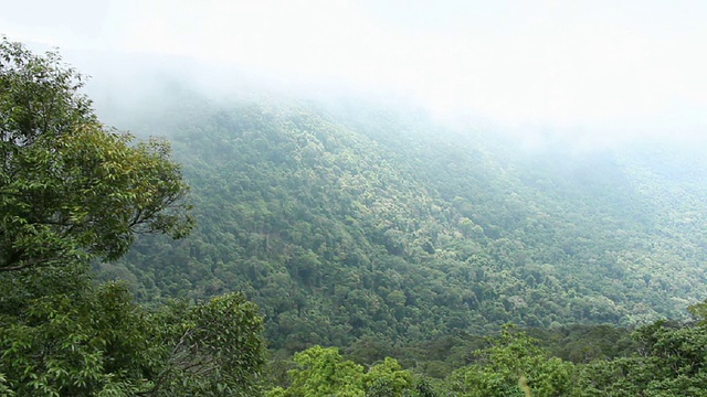 多莉滑块电机:Pa Deo Die Cliff,khao Yai,Nakhon Ratchasima泰国视频素材