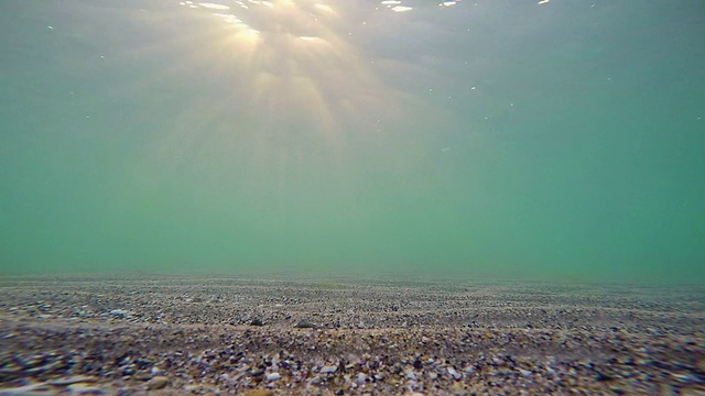 海面的水下视图视频素材