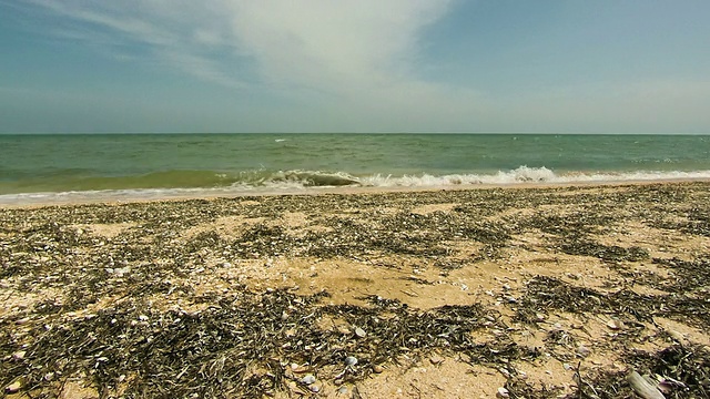 海滩和海浪在海岸上视频素材