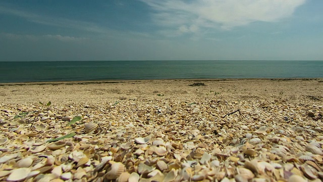 海滩和海浪在海岸上视频素材