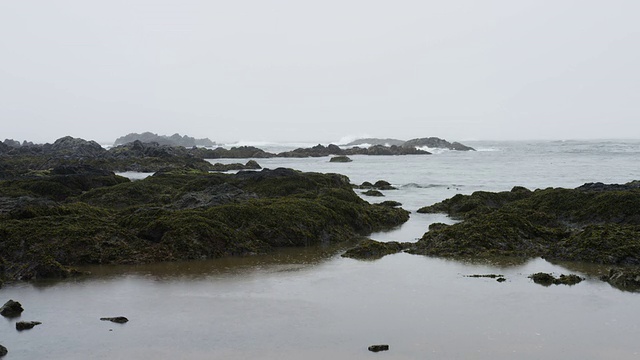 海洋海岸线-中雨=视频素材