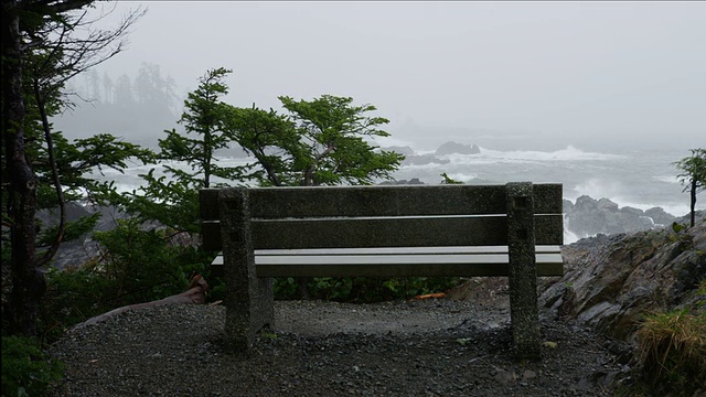 长凳与暴风雨的海景视频素材