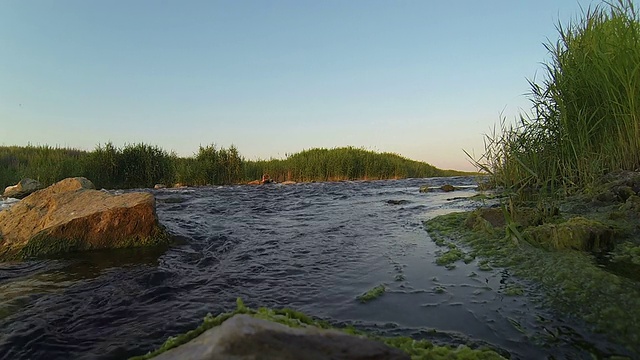 湍急的河视频素材