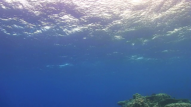 珊瑚礁上的海浪视频素材