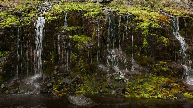 苔藓和涓涓流水视频素材