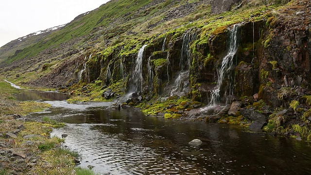 苔藓和涓涓流水视频素材