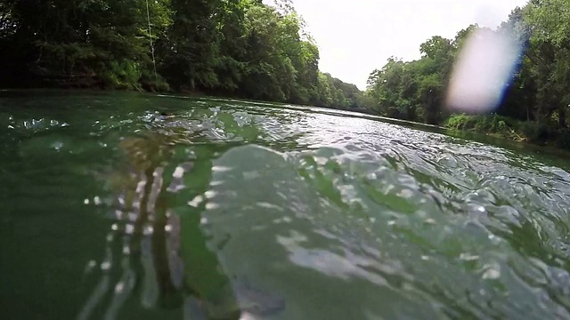 高清慢镜头彩虹鳟鱼在水下钓鱼视频素材