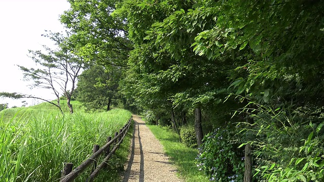 夏天的乡村道路视频素材