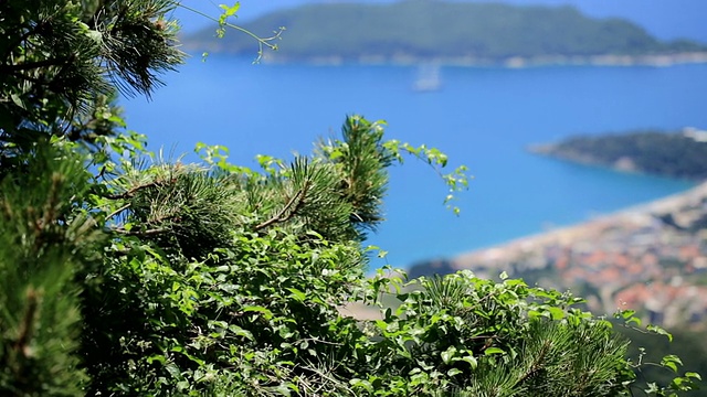 布瓦海岸的俯视图视频素材