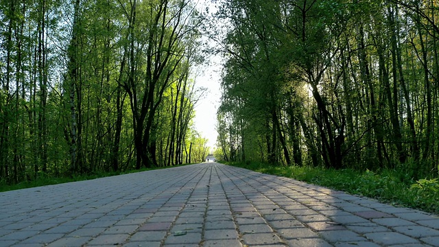 在春天的时候，道路穿过迷雾缭绕、色彩斑斓的森林视频素材