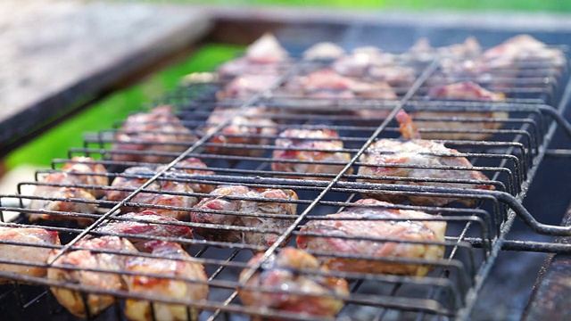 夏天的野餐和烧烤视频下载