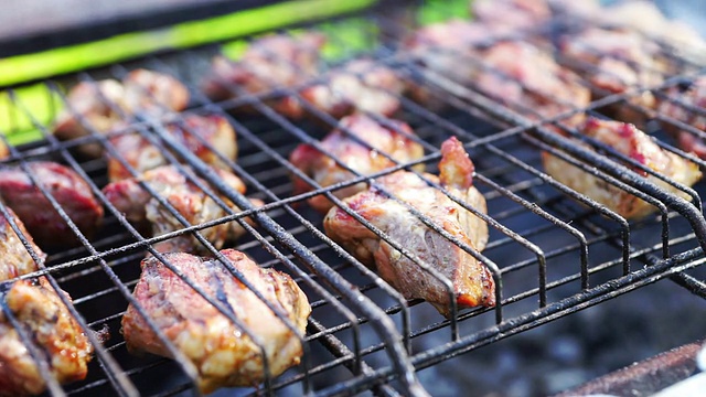 夏天的野餐和烧烤视频下载