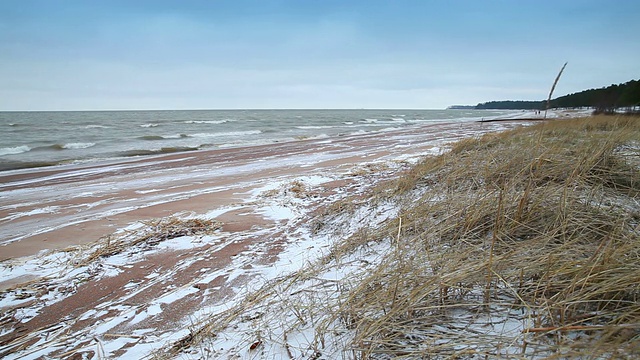 冬季海岸景观与沙滩上的雪，风和浪。芬兰湾，波罗的海，俄罗斯视频素材