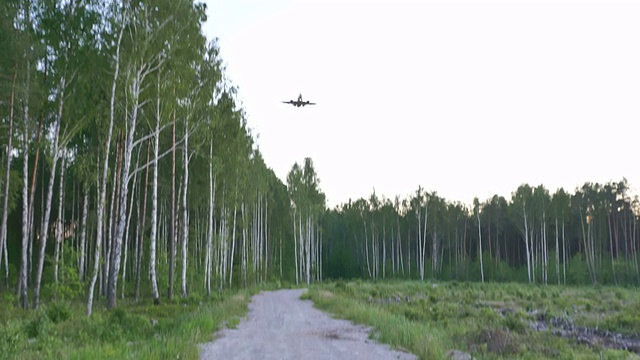 田野上的树木顶着天空视频素材