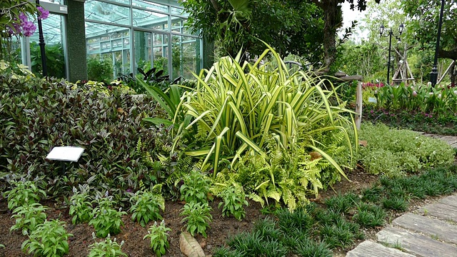 花园里的走道和花坛视频素材