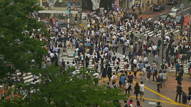 日本东京著名的涉谷十字路口视频素材