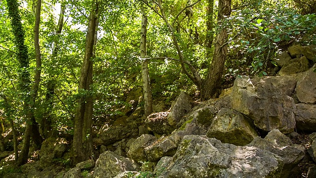 山河在绿林中流淌视频素材