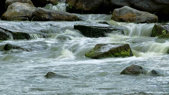 森林溪流时间流逝视频素材