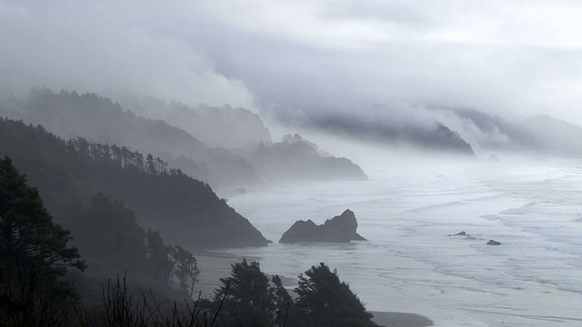 森林雾和海洋雨时间流逝视频素材