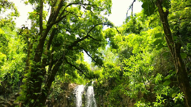 自然风景优美的风景。视频素材