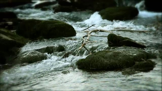 河流特写视频素材