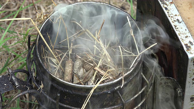 为烟熏器准备干香草视频素材