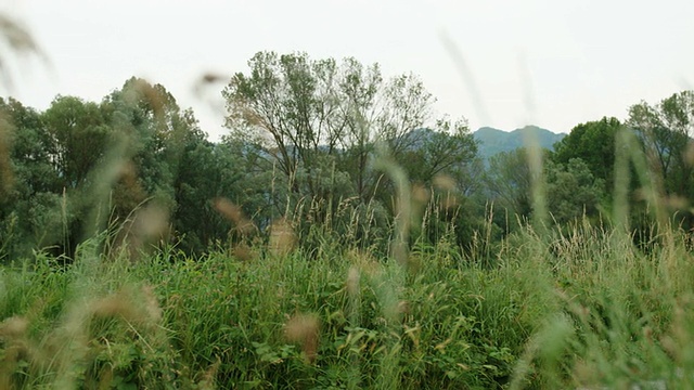 人和体育活动，女孩在乡下骑山地车视频素材