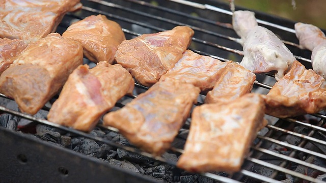 肉，鸡肉串在烤架上视频素材