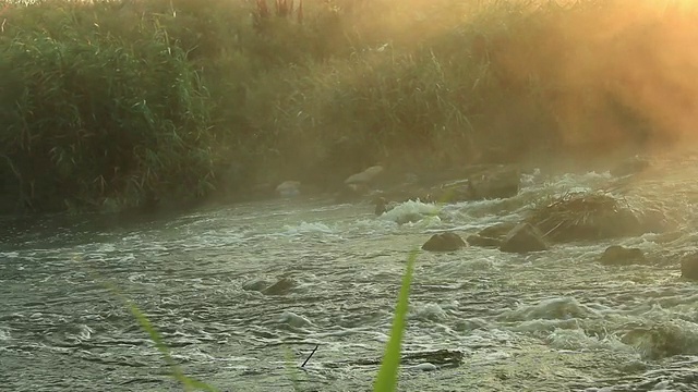 奔流河上的黎明视频素材