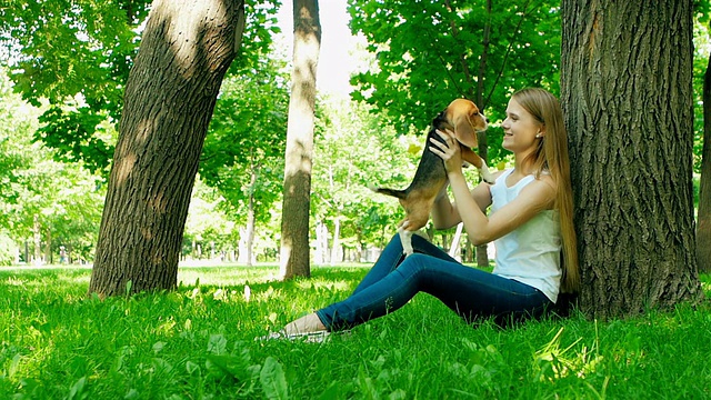 快乐的女人和一只小猎犬在大自然中嬉戏。慢动作视频素材