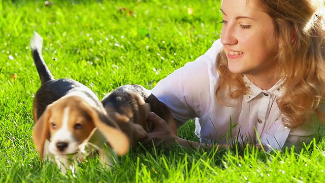 快乐的女人和一只小猎犬在大自然中嬉戏。近距离视频素材