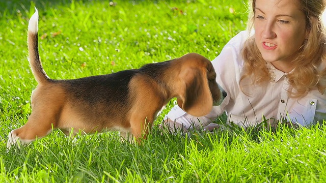 快乐的女人和一只小猎犬在大自然中嬉戏视频素材