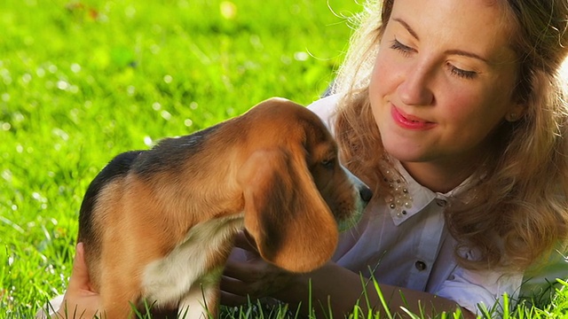 快乐的女人和一只小猎犬在大自然中嬉戏。近距离视频素材