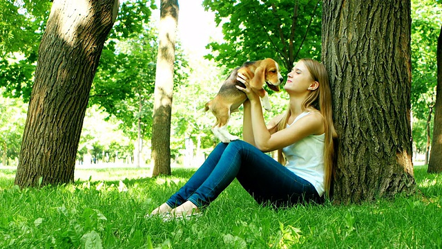 快乐的女孩和一只小猎犬在大自然中玩耍视频素材